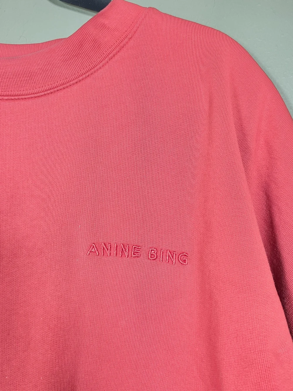 Anine Bing color faded